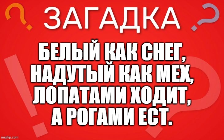 Белый как снег, надутый как мех — загадка