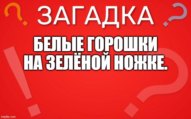 Белые горошки на зелёной ножке — загадка