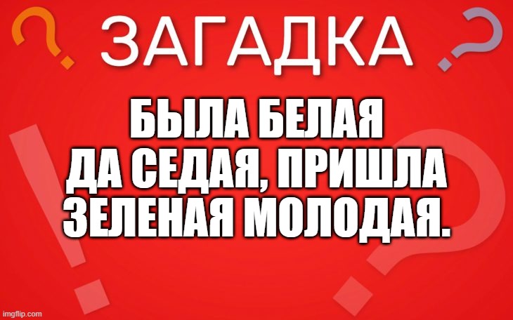 Была белая да седая, пришла зеленая молодая — загадка