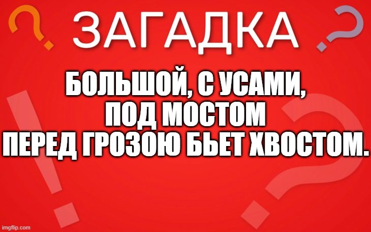 Большой, с усами, под мостом перед грозою бьет хвостом — загадка