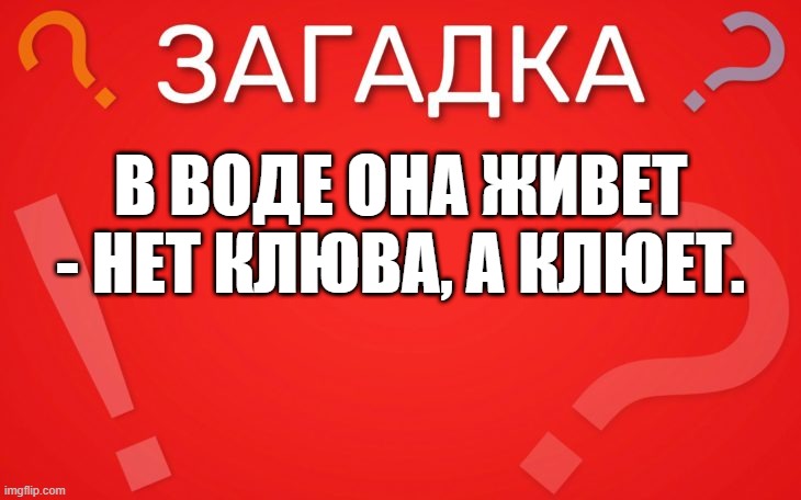 В воде она живет, нет клюва, а клюет — загадка