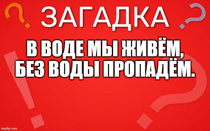 В воде мы живём, без воды пропадём — загадка