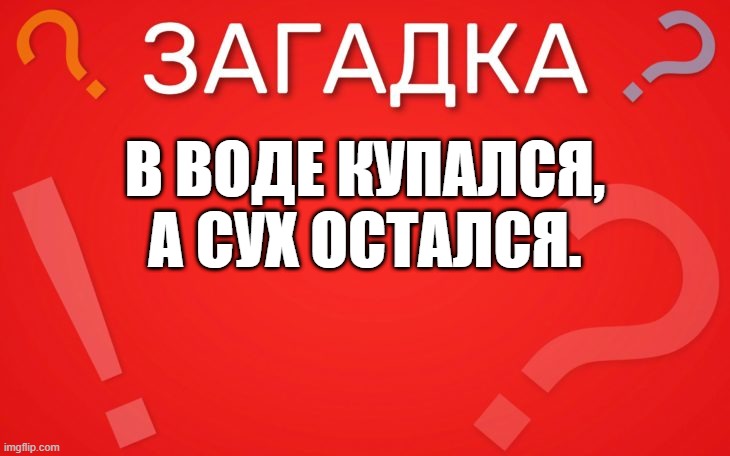 В воде купался, а сух остался — загадка