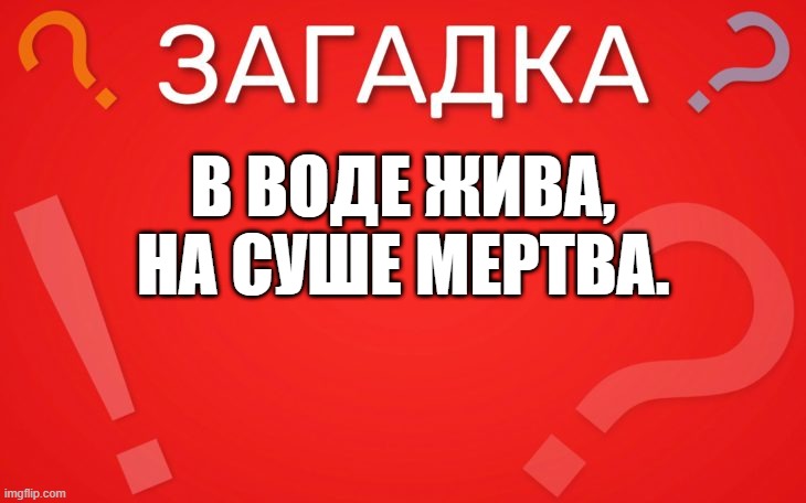 В воде жива, на суше мертва — загадка