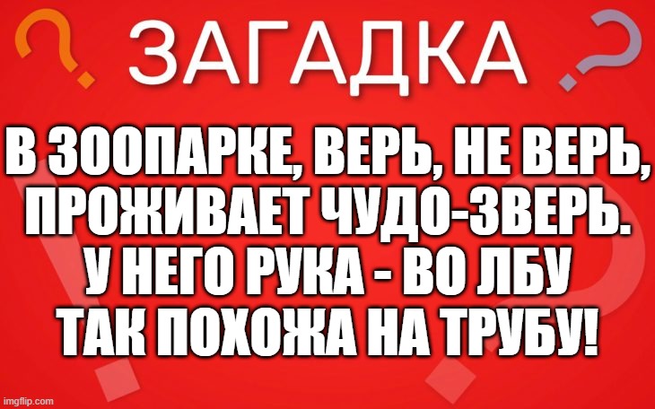 В зоопарке, верь, не верь, проживает чудо зверь — загадка