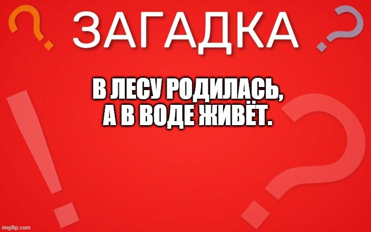 В лесу родилась, а в воде живёт — загадка