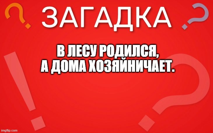 В лесу родился, а дома хозяйничает — загадка