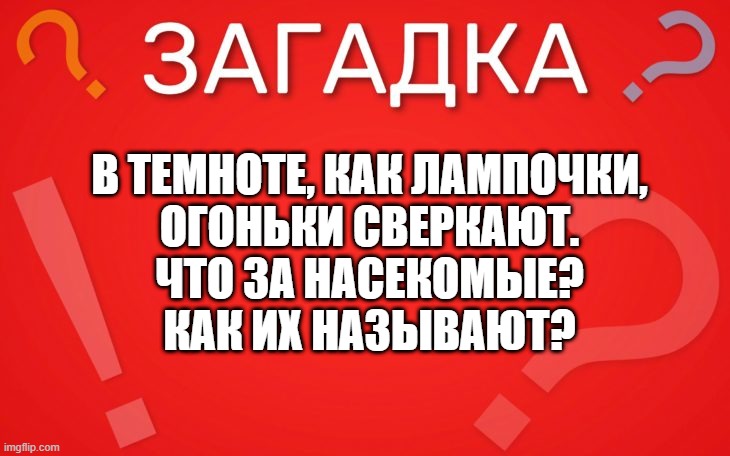 В темноте, как лампочки, огоньки сверкают — загадка