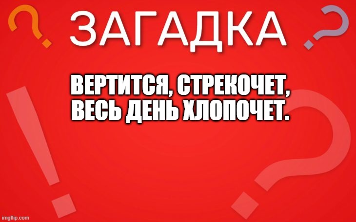 Вертится, стрекочет, весь день хлопочет — загадка