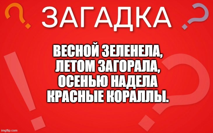 Весной зеленела, летом загорала, осенью надела красные кораллы — загадка