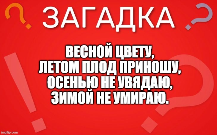 Весной цвету, летом плод приношу — загадка