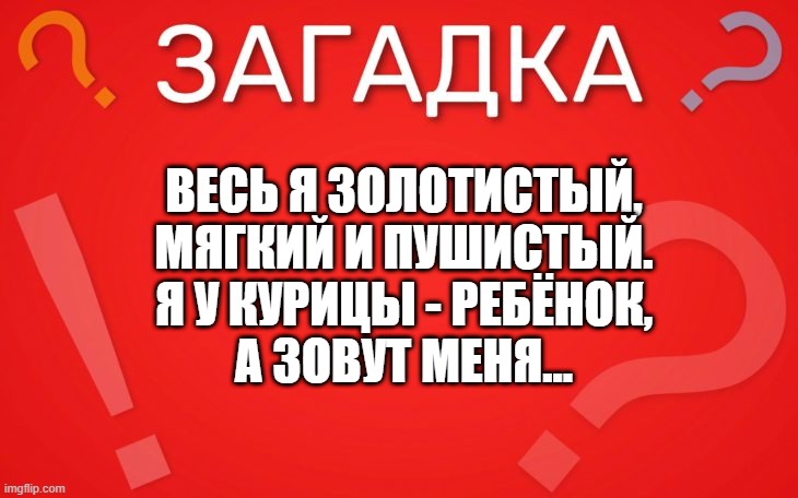 Весь я золотистый, мягкий и пушистый — загадка