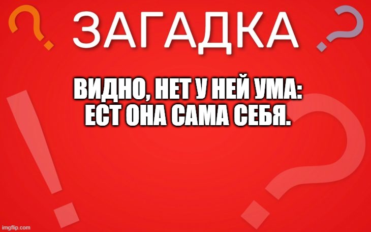 Видно, нет у ней ума ест она сама себя — загадка