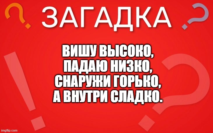 Вишу высоко, падаю низко, снаружи горько, а внутри сладко — загадка
