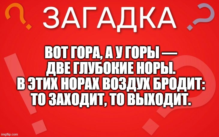 Вот гора, а у горы две глубокие норы — загадка