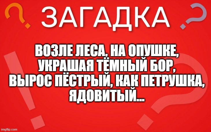 Возле леса, на опушке, украшая тёмный бор — загадка