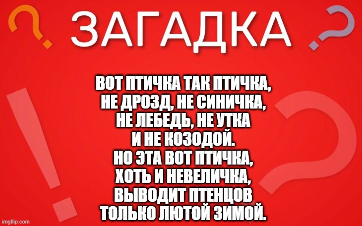 Вот птичка так птичка, не дрозд, не синичка — загадка