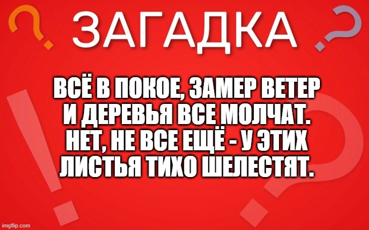 Всё в покое, замер ветер и деревья все молчат — загадка