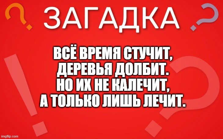 Всё время стучит, деревья долбит — загадка