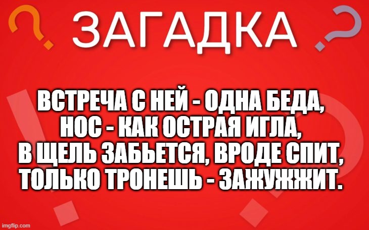 Встреча с ней одна беда, нос как острая игла — загадка