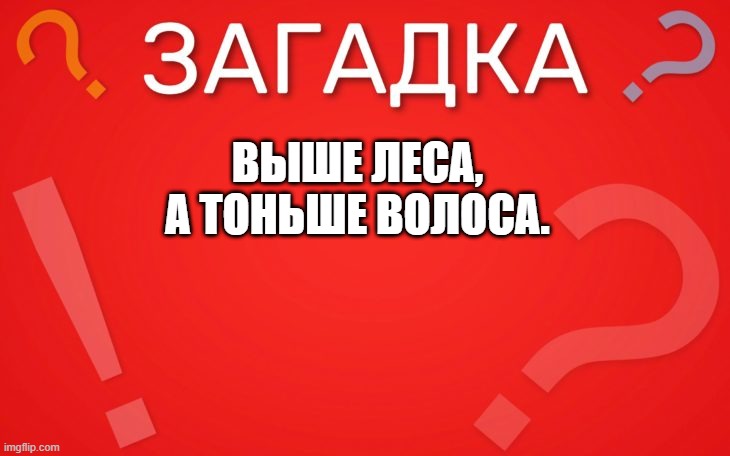 Выше леса, а тоньше волоса — загадка