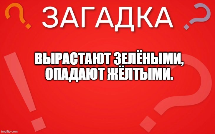 Вырастают зелёными, опадают жёлтыми — загадка