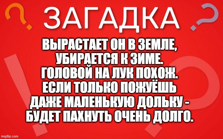 Вырастает он в земле, убирается к зиме — загадка
