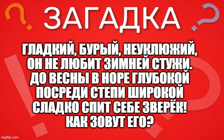Гладкий, бурый, неуклюжий, он не любит зимней стужи — загадка