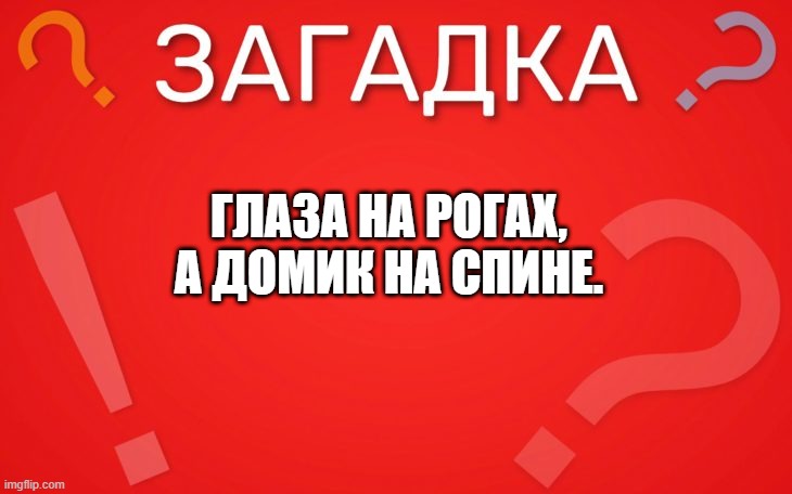 Глаза на рогах, а домик на спине — загадка