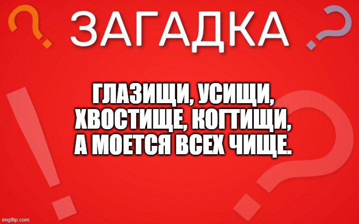 Глазищи, усищи, хвостище, когтищи, а моется всех чище — загадка