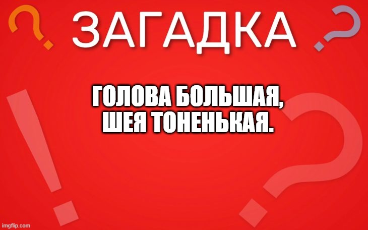 Голова большая, шея тоненькая — загадка