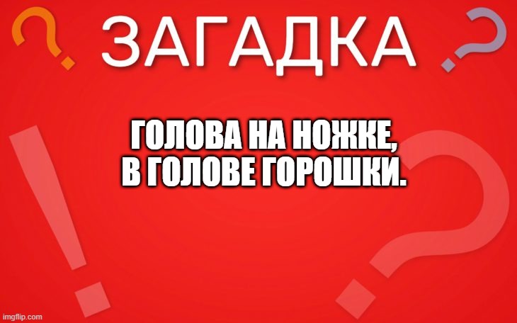 Голова на ножке, в голове горошки — загадка