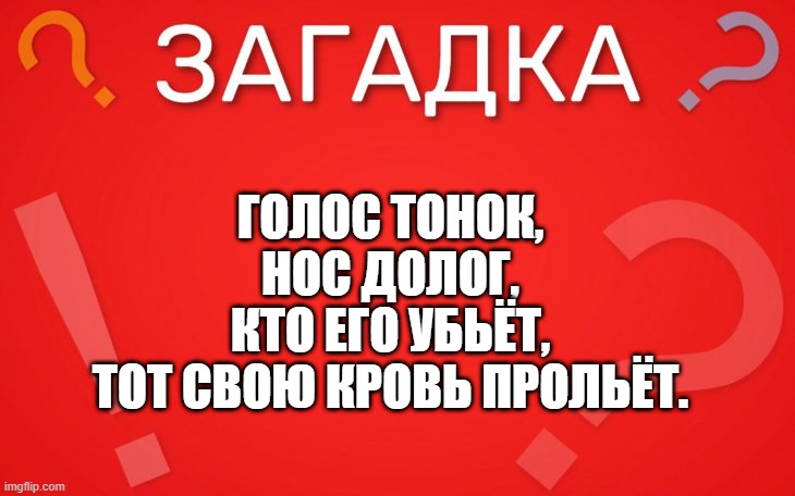 Голос тонок, нос долог — загадка