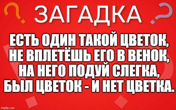 Есть один такой цветок, не вплетёшь его в венок — загадка