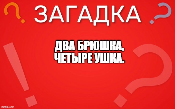 Два брюшка, четыре ушка — загадка