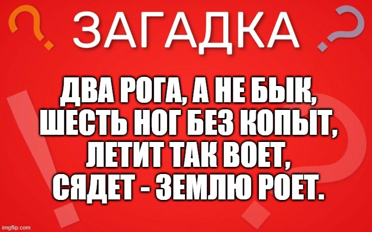 Два рога, а не бык, шесть ног без копыт — загадка