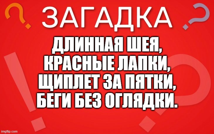 Длинная шея, красные лапки — загадка