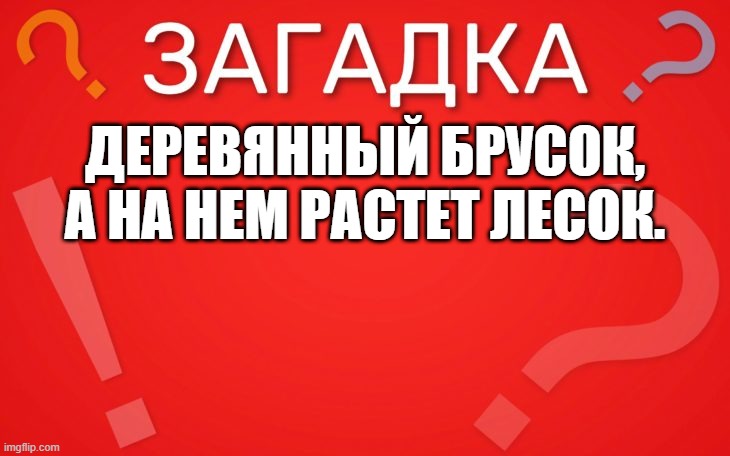Деревянный брусок, а на нем растет лесок — загадка