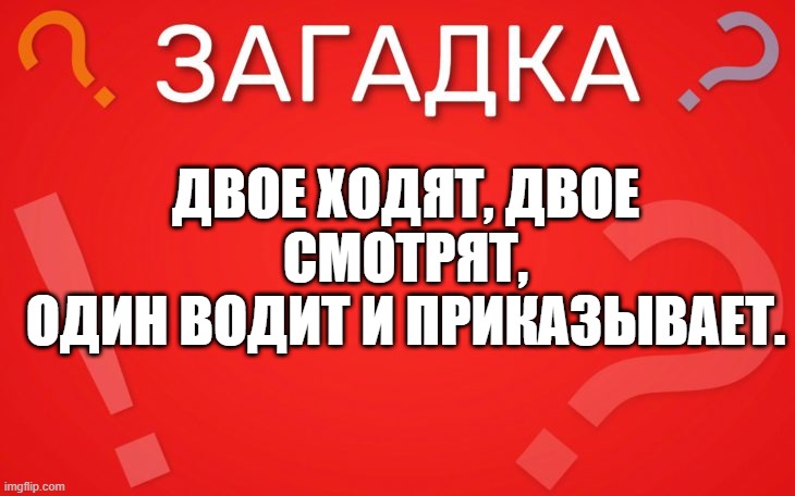 Двое ходят, двое смотрят, один водит и приказывает — загадка