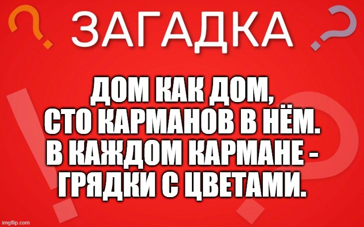 Дом как дом, сто карманов в нём — загадка