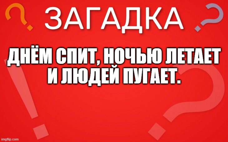 Днём спит, ночью летает и людей пугает — загадка