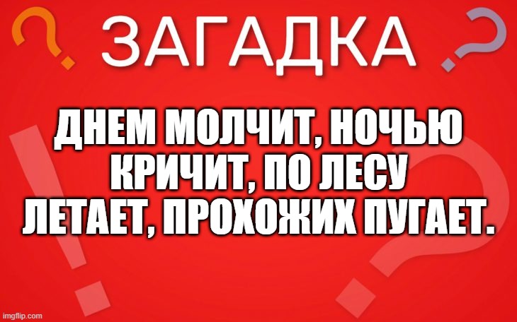 Днем молчит, ночью кричит, по лесу летает, прохожих пугает — загадка