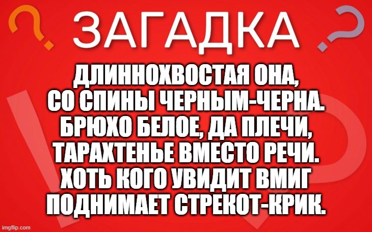 Длиннохвостая она, со спины черным черна — загадка