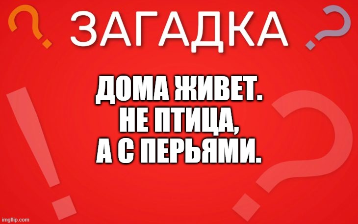 Дома живет, не птица, а с перьями — загадка