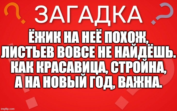 Ёжик на неё похож, листьев вовсе не найдёшь — загадка