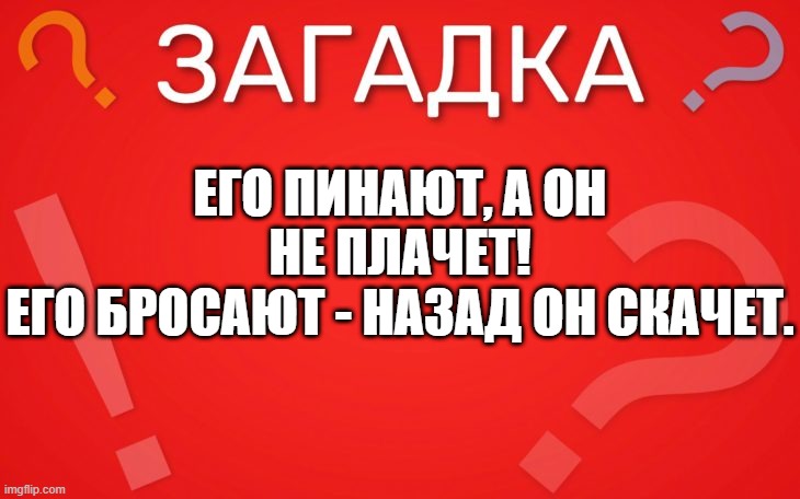 Его пинают, а он не плачет — загадка