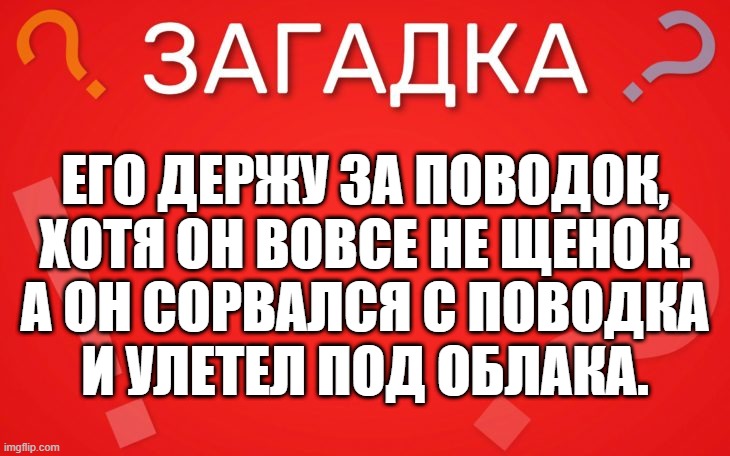 Его держу за поводок, хотя он вовсе не щенок — загадка