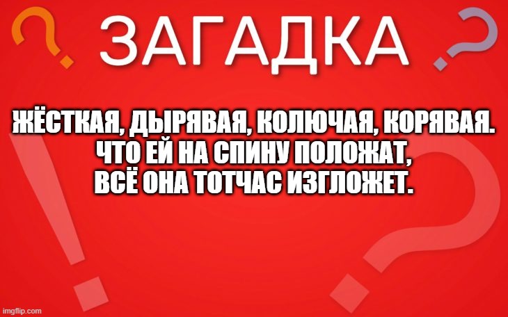Жёсткая, дырявая, колючая, корявая — загадка