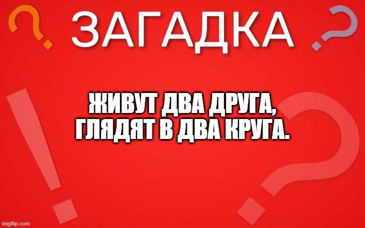Живут два друга, глядят в два круга — загадка