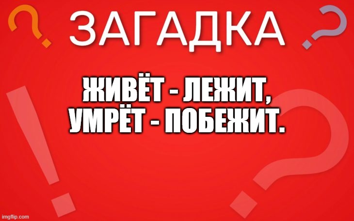 Живёт лежит, умрёт побежит — загадка